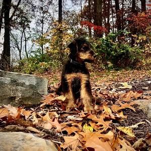 Meet your Posher, Shannon